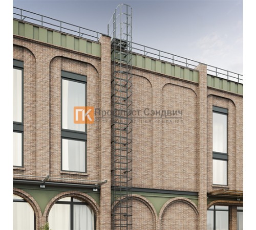 Полотно пожарной лестницы ОЦ РП-ПЛ2-2450 (кроншт. 450 мм)